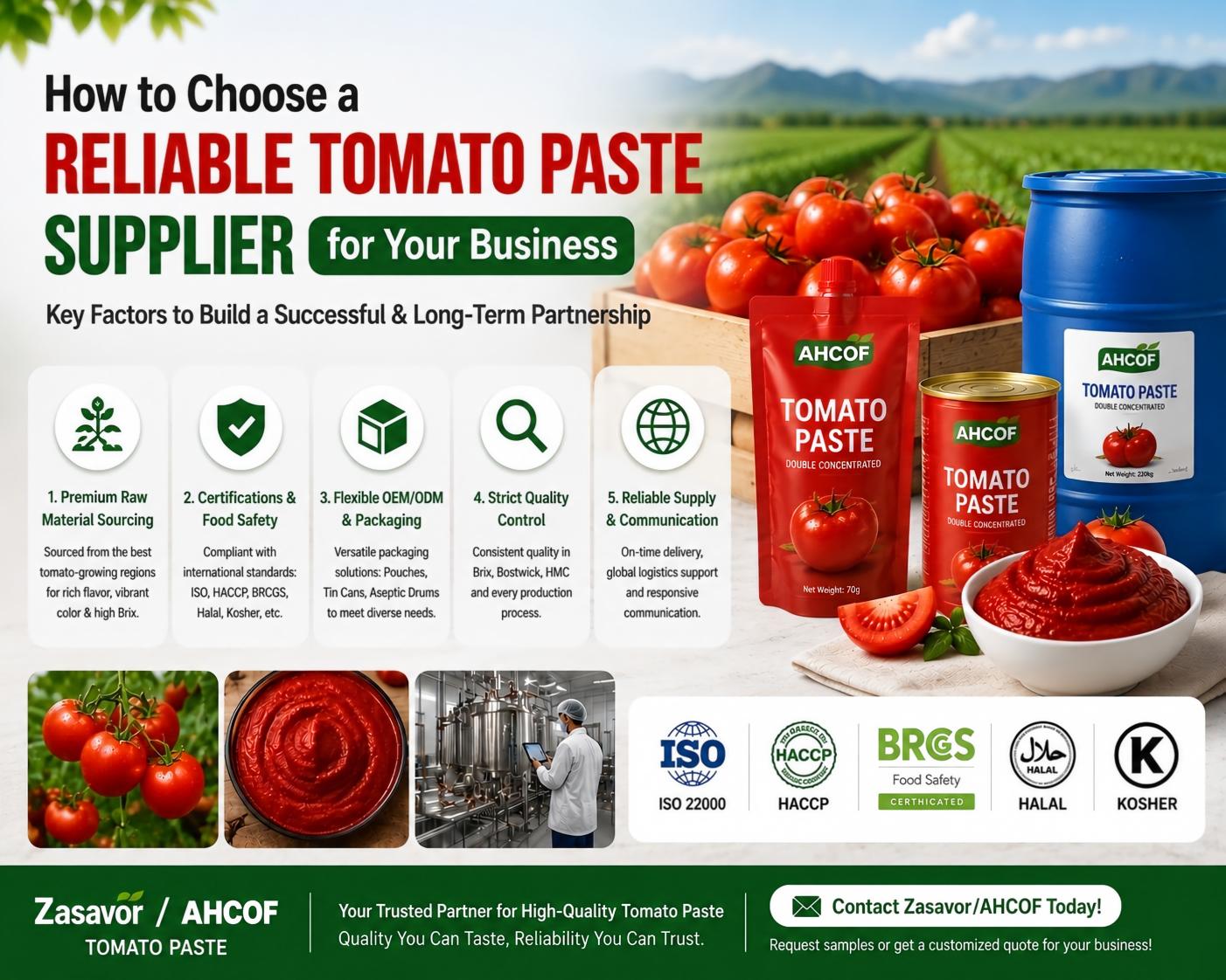 Como escolher um fornecedor confiável de pasta de tomate para o seu negócio
